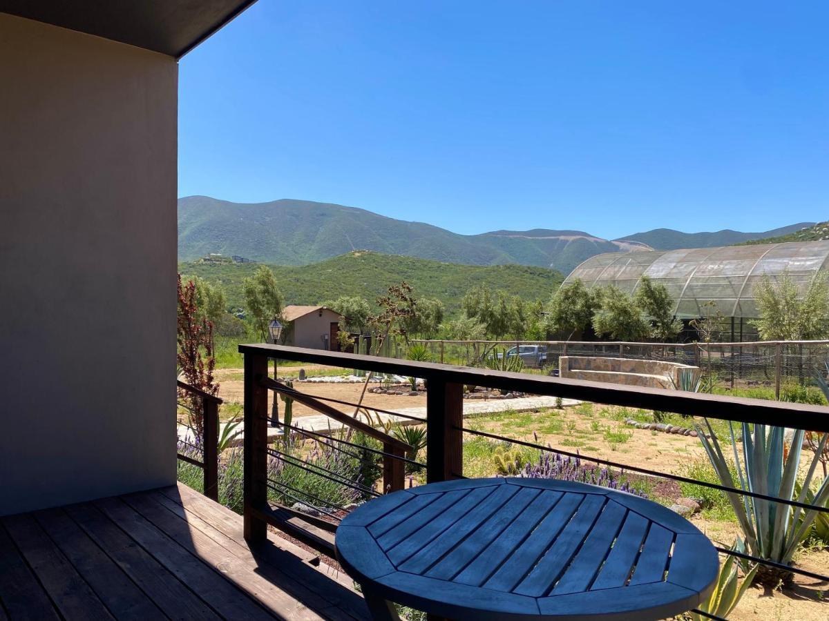 Coquenas Del Valle Valle de Guadalupe Exterior foto